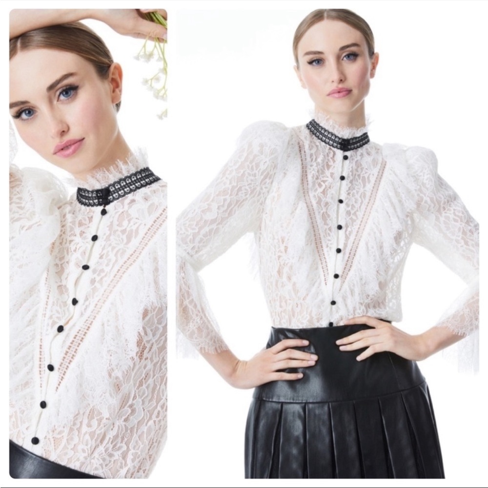 Alice + Olivia Jessica lace button front collar blouse